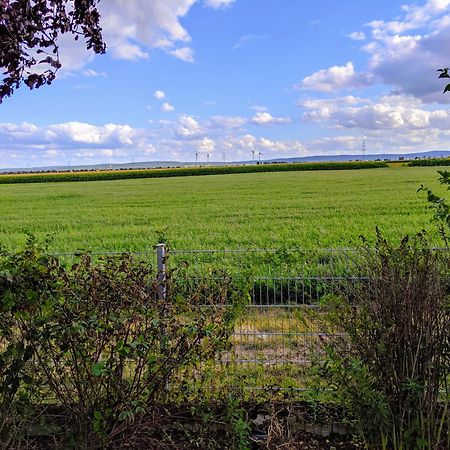 Grosse Schoenheit Mit Panoramablick Euskirchen Esterno foto