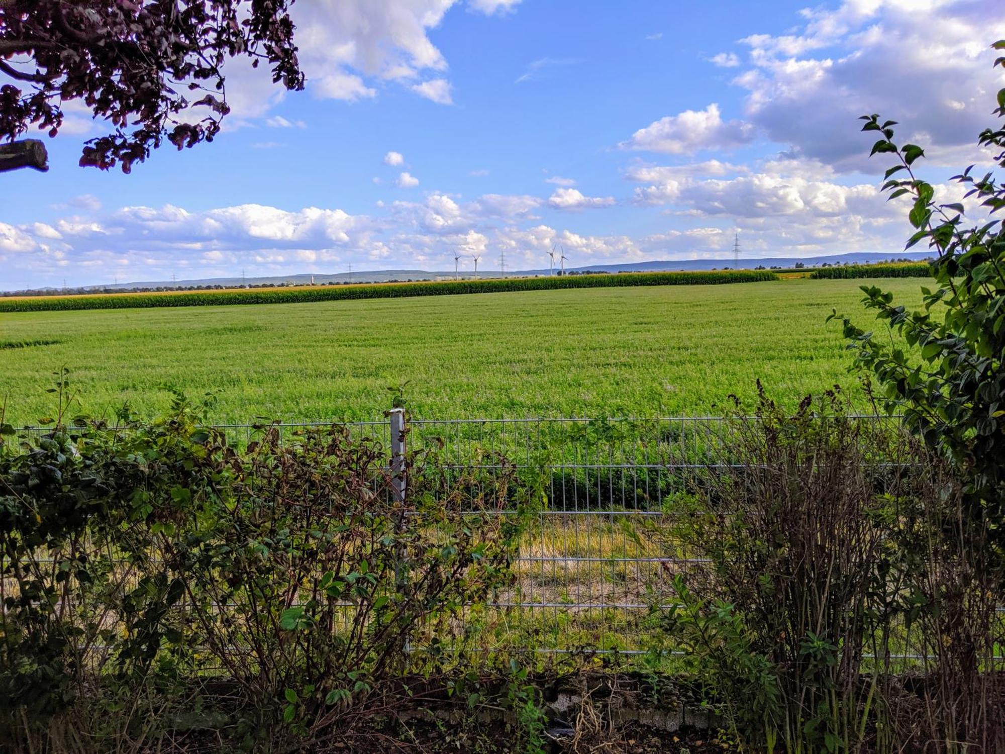 Grosse Schoenheit Mit Panoramablick Euskirchen Esterno foto
